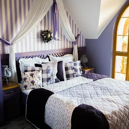 Karolowy Dwor - Mountain & Relax B&B 비스와