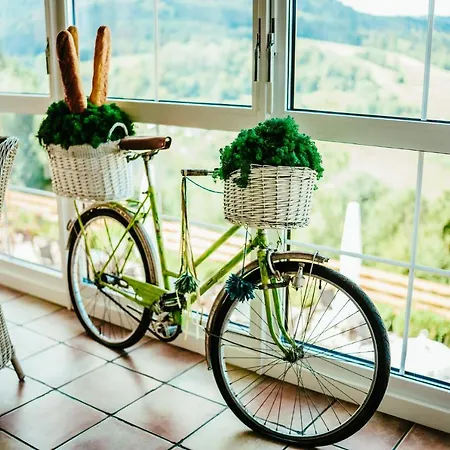 Karolowy Dwor - Mountain & Relax B&B 비스와