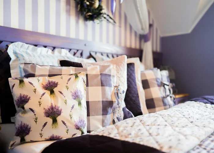 Karolowy Dwor - Mountain & Relax 维斯拉