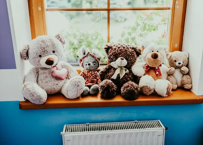 Nocleg ze śniadaniem Karolowy Dwór