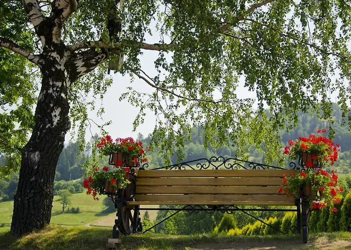 Bed & Breakfast Karolowy Dwor - Mountain & Relax 3*